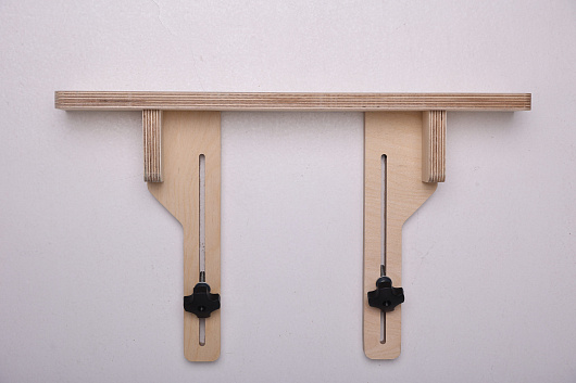 Пильный модуль AntWood